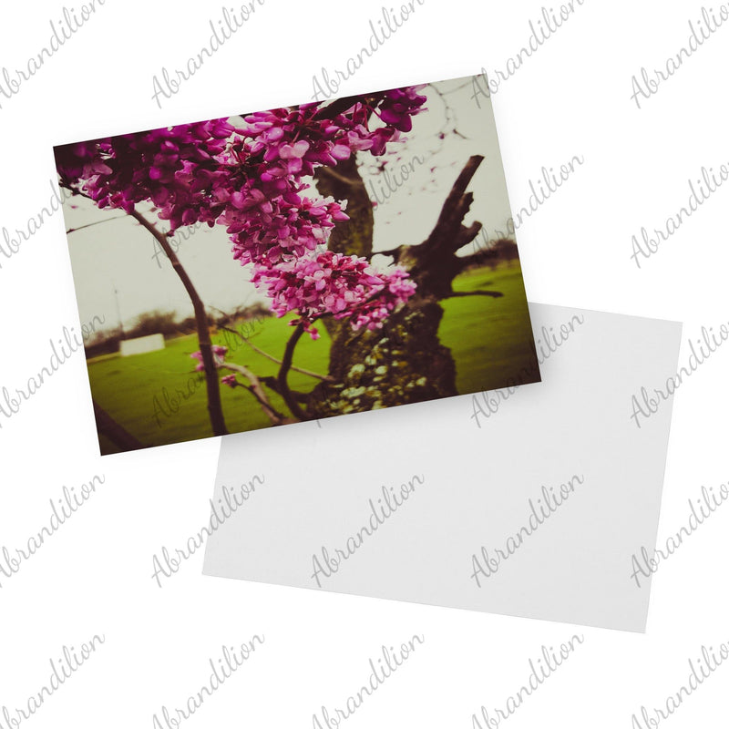 Pink Blooms | Flat Card - abrandilion