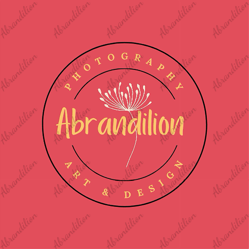 Pink Dahlia Canvas Wall Art — Stretched 0.75" Floral Print on Black - abrandilion