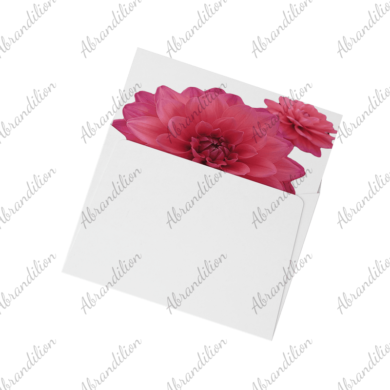 Pink Dahlia - Flat Card with Envelopes - abrandilion