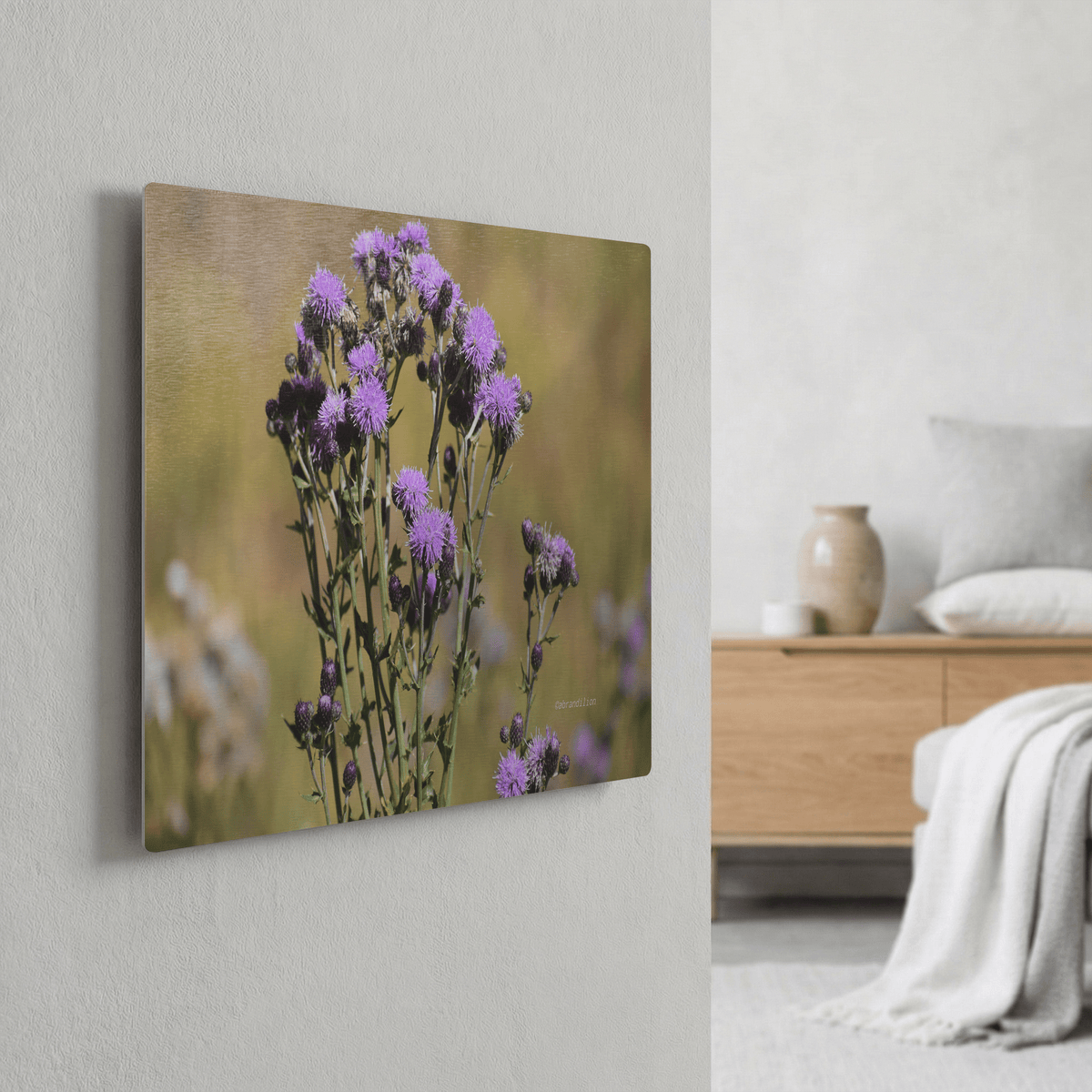 Purple Thistle - Metal Panel - abrandilion
