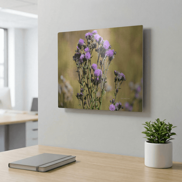 Purple Thistle - Metal Panel - abrandilion