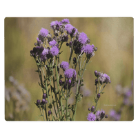 Purple Thistle - Metal Panel - abrandilion