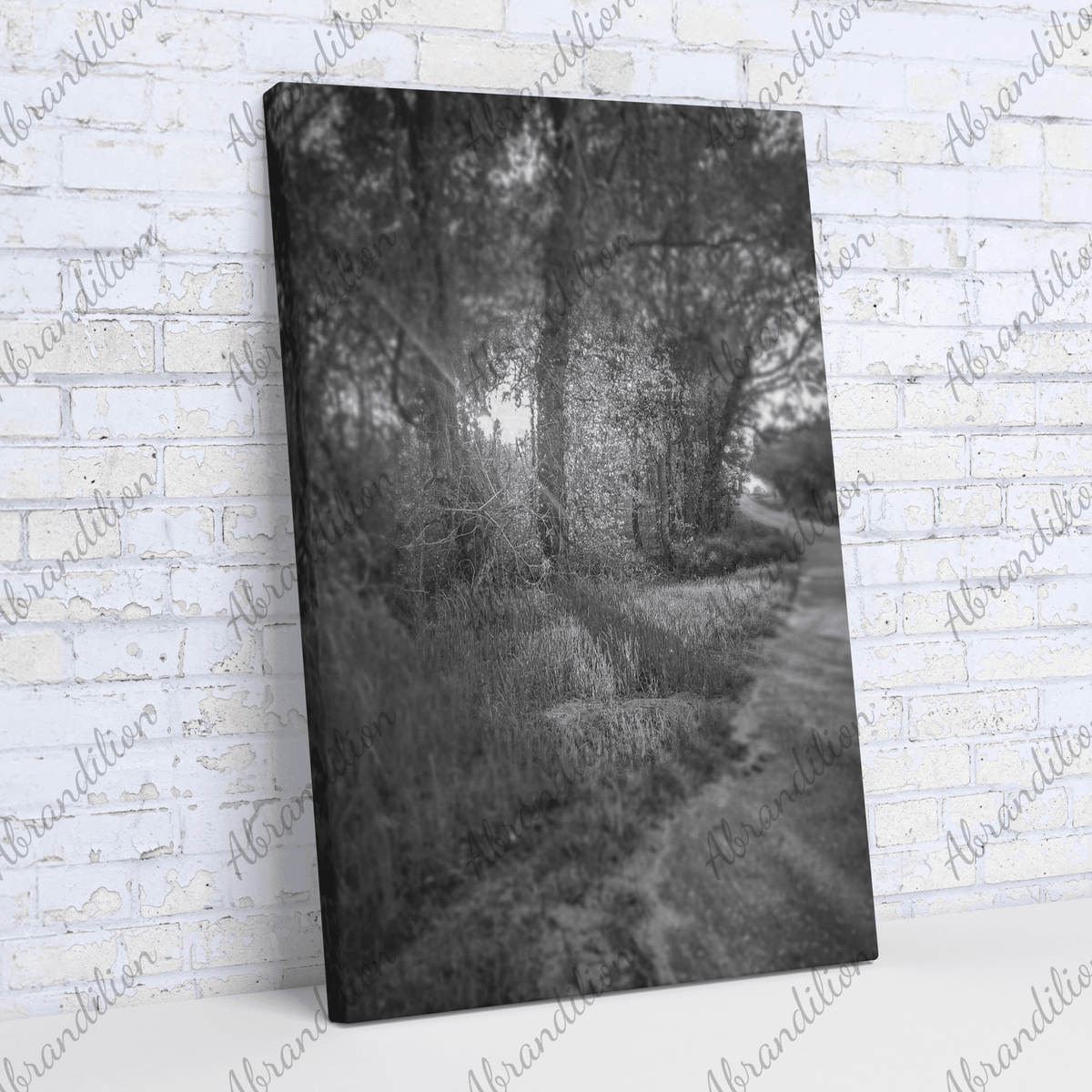 Sun Shining Through Trees - Black and White - Wall Art - abrandilion