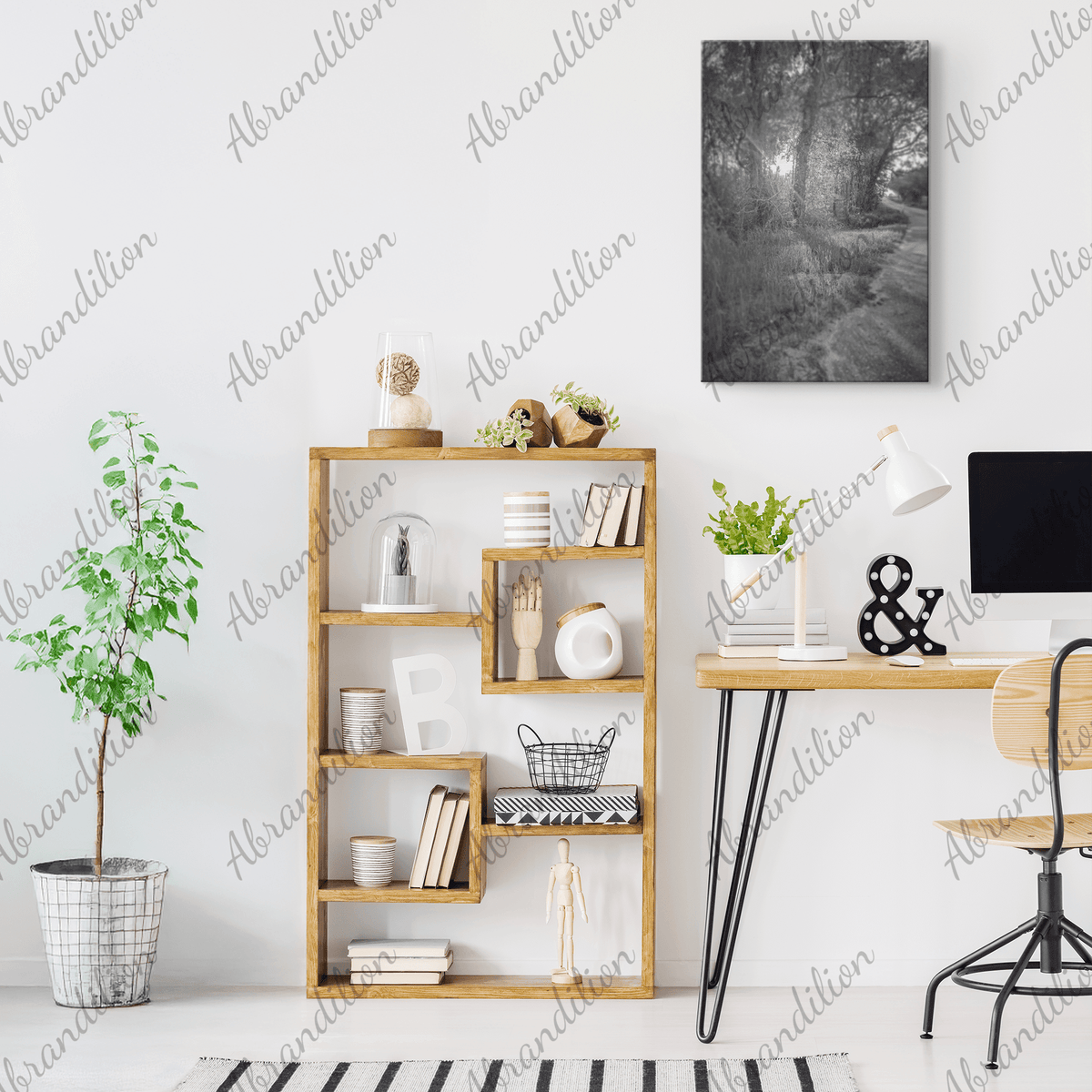 Sun Shining Through Trees - Black and White - Wall Art - abrandilion