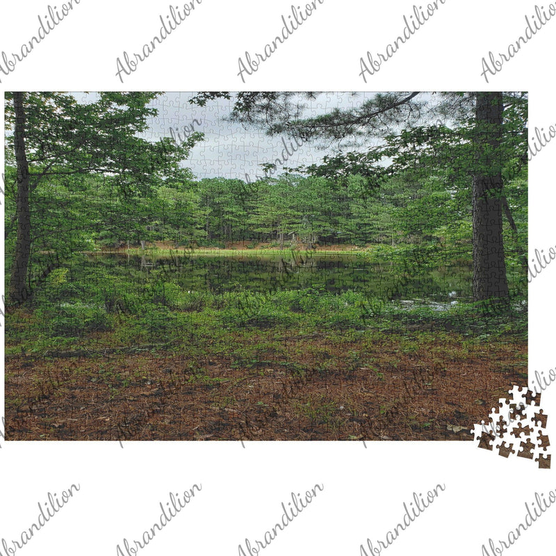 Texas Pond | Jigsaw Puzzle - abrandilion