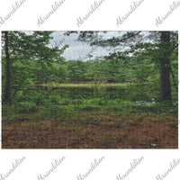 Texas Pond | Jigsaw Puzzle - abrandilion