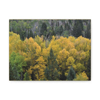Colorado Fall Stretched Canvas | Fall Colors | 12x9in | Ethically Sourced - abrandilion