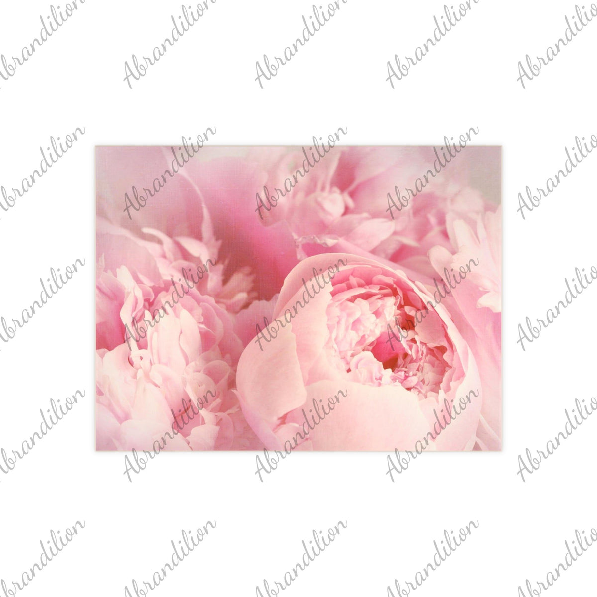 Pink Peony Ceramic Photo Tile - abrandilion