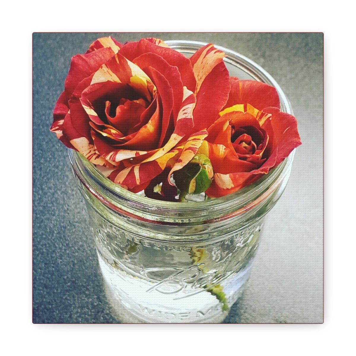 Rose in Jar | Canvas Wrap | Wall Art | Flower - abrandilion