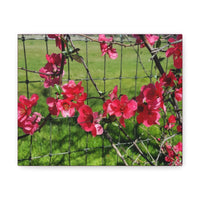 Texas Flowers Canvas Wrap | Top quality | 10x8in - abrandilion