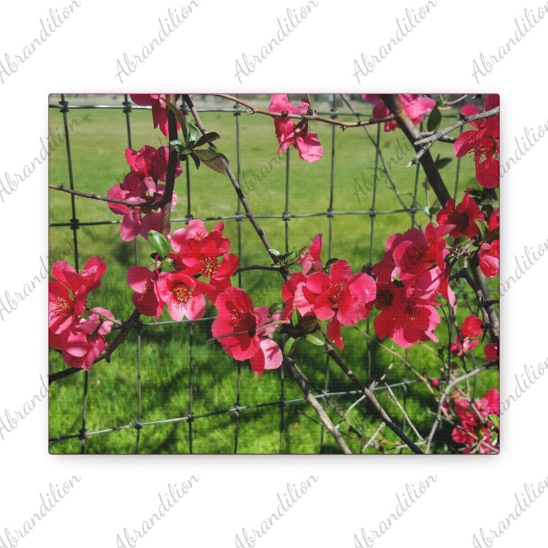 Texas Flowers Canvas Wrap | Top quality | 10x8in - abrandilion