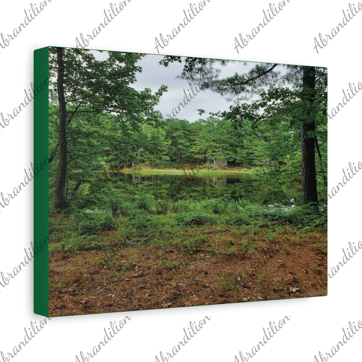 Texas Pond Stretched Canvas | Wall Art | 12"x9" | Ethically Sourced - abrandilion